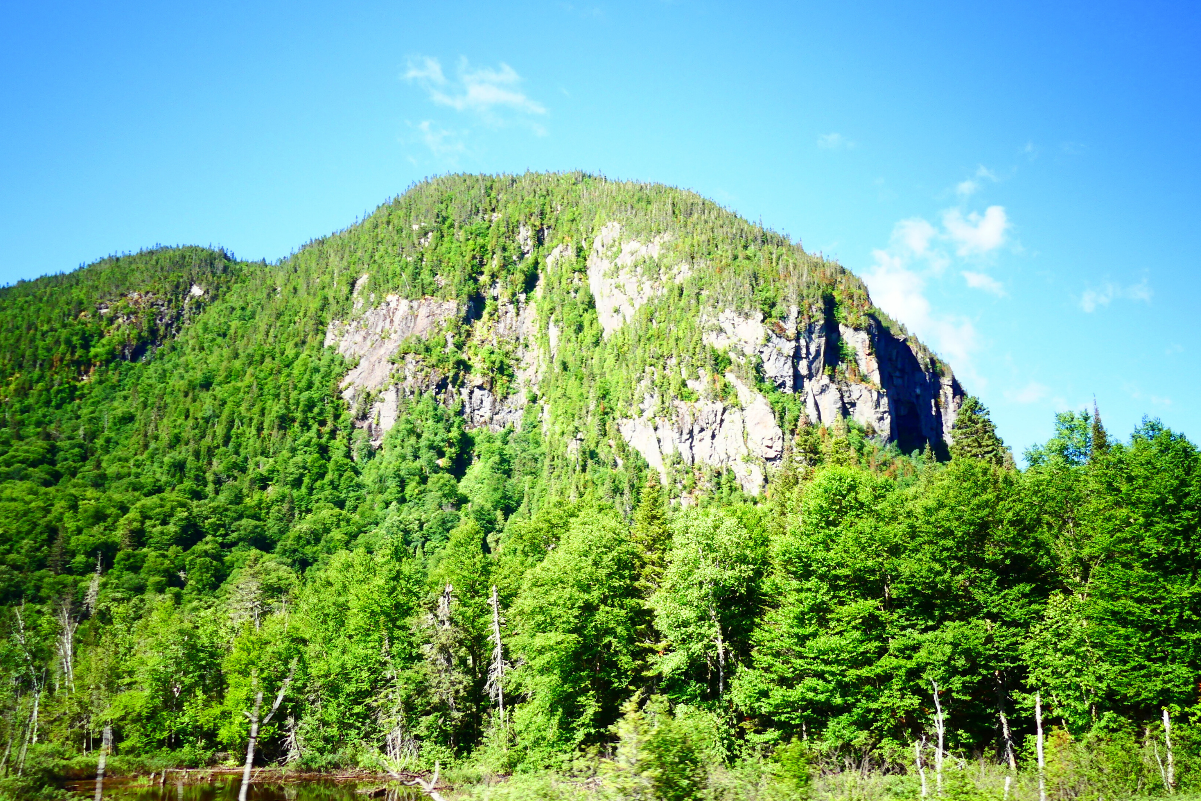 286 la baie, québec.webp